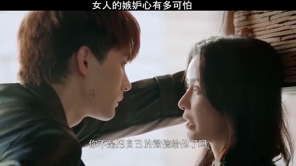 解析各类问题?来狗能吃猪肉吗网!
